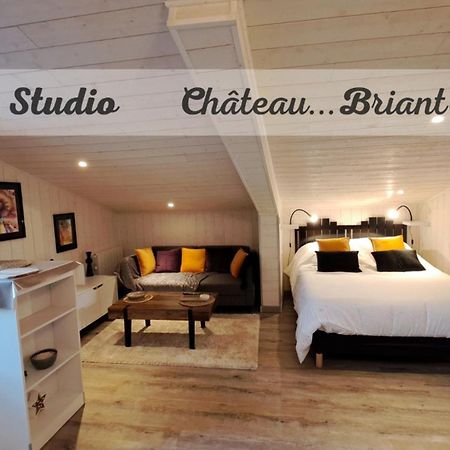 Studio-Centre Ville Chateaubriant Exterior photo